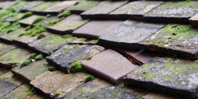 Marsh roof repair costs